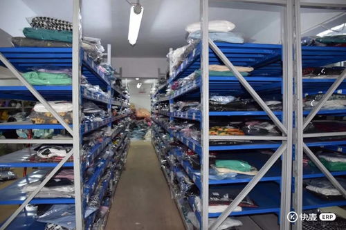 高性價(jià)比ERP與倉(cāng)儲(chǔ)服務(wù) 拼多多商家提升運(yùn)營(yíng)效率與價(jià)值的首選方案